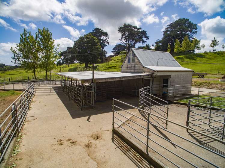 232 Otuhi Road Mangapai and Surrounds_7