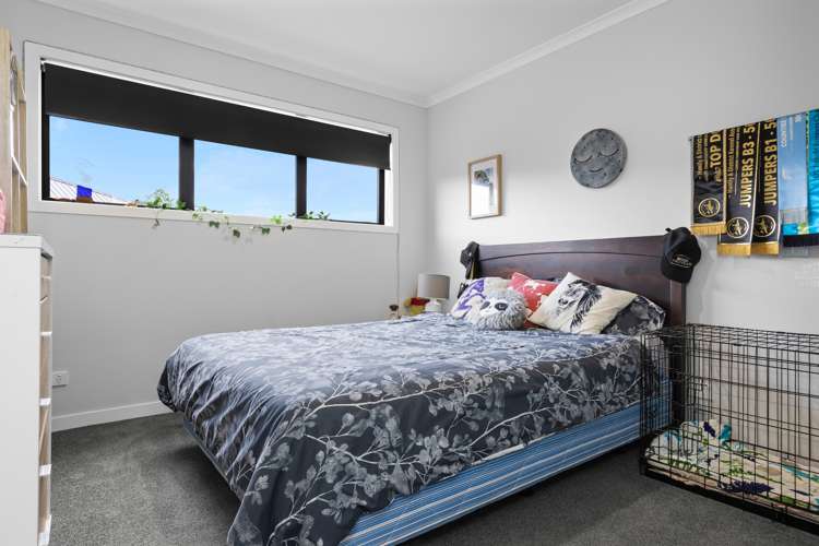 18 Bellona Place Flagstaff_10