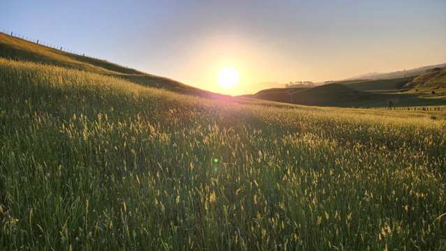 964 Tarata Road Kaimata_2