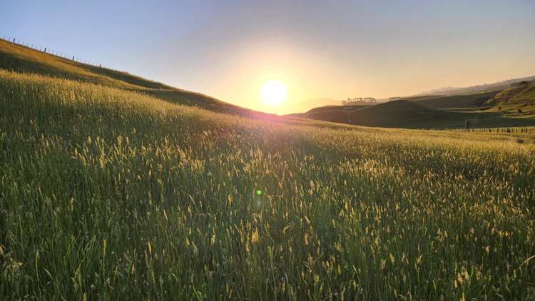 964 Tarata Road Kaimata_2