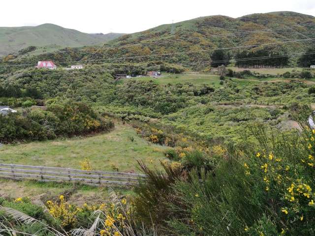 31 Kaitangata Crescent Kelson_2