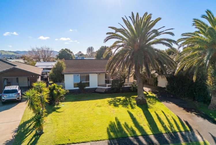 4 Springbok Avenue Whitianga_32