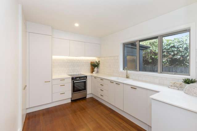 65A Knowles Street Merivale_1