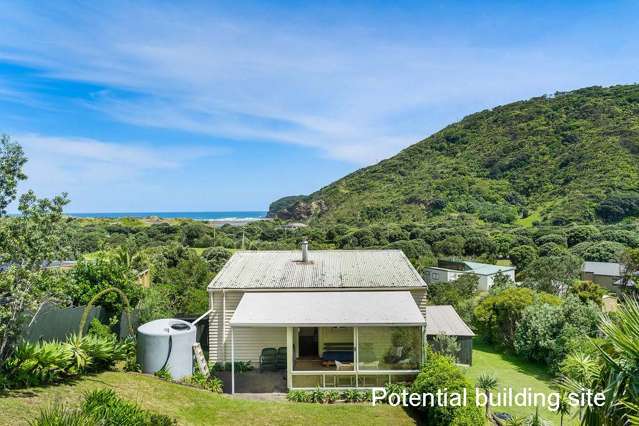 258 Bethells Road Bethells Beach_4