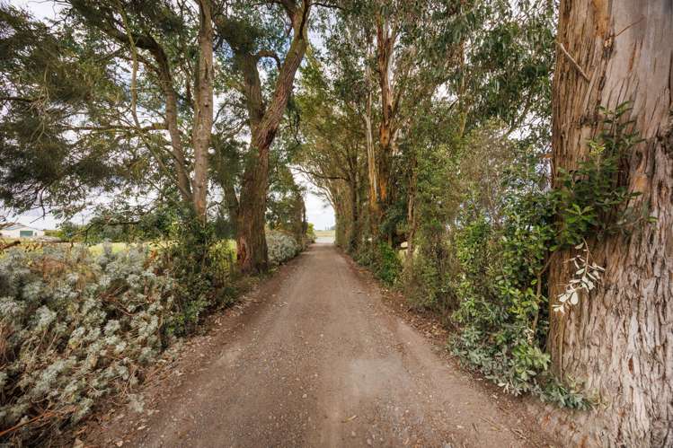 130B Soldiers Road Sanson_25