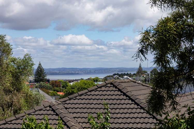 17d Methuen Road Avondale_17