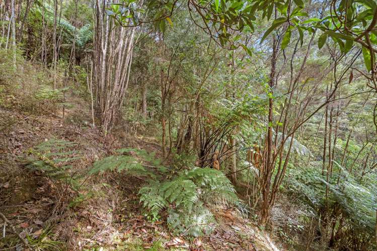 1169 Ngunguru Road Kiripaka_8