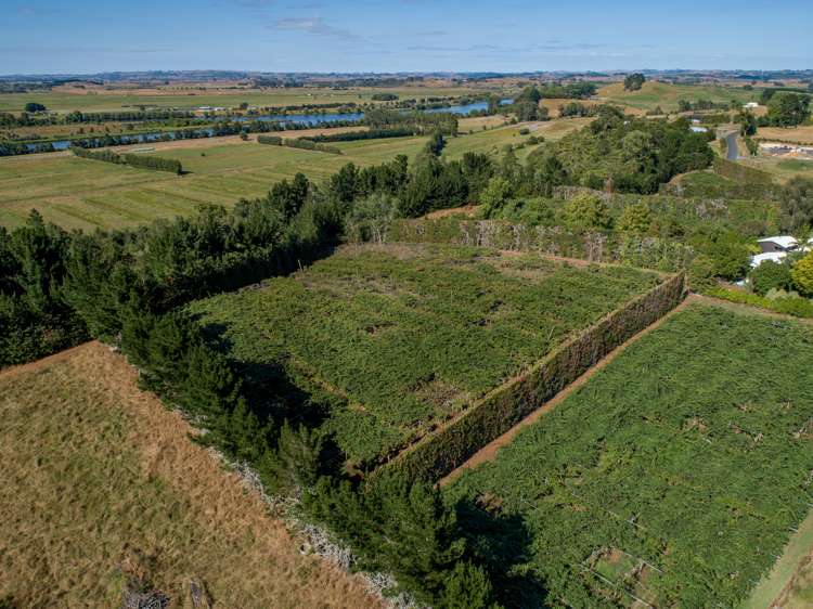 159 Plantation Road Rangiriri_10