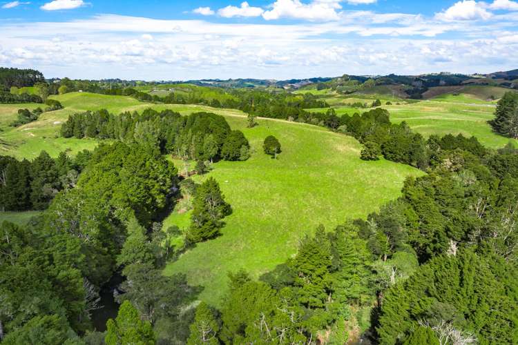 127 Woodcocks Road Warkworth_7