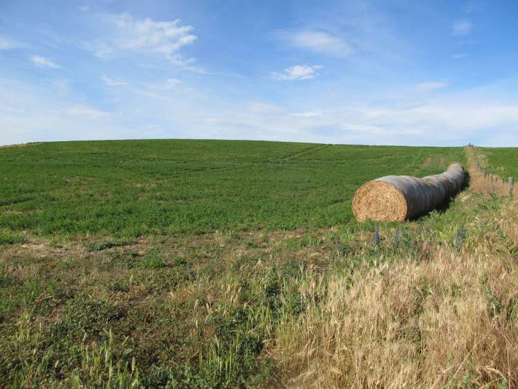 548 Springvale Road Alexandra_5