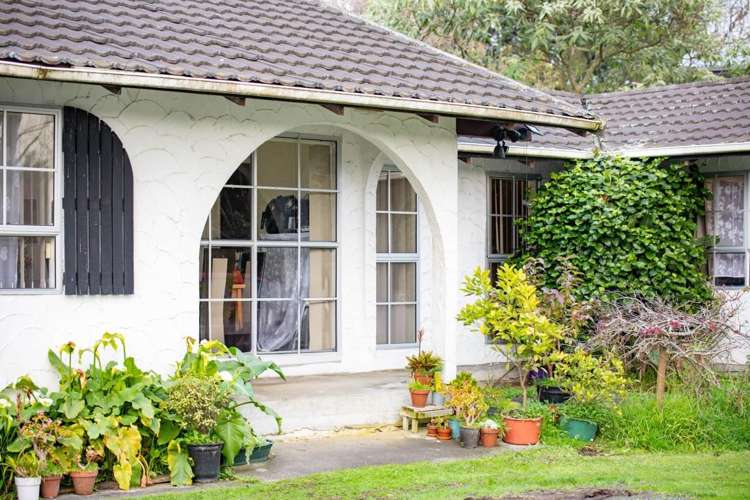 11 Hibiscus Avenue Hamilton Lake_2