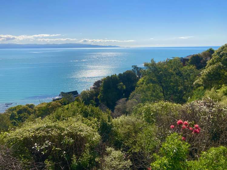 25 Moncrieff Avenue Britannia Heights_22