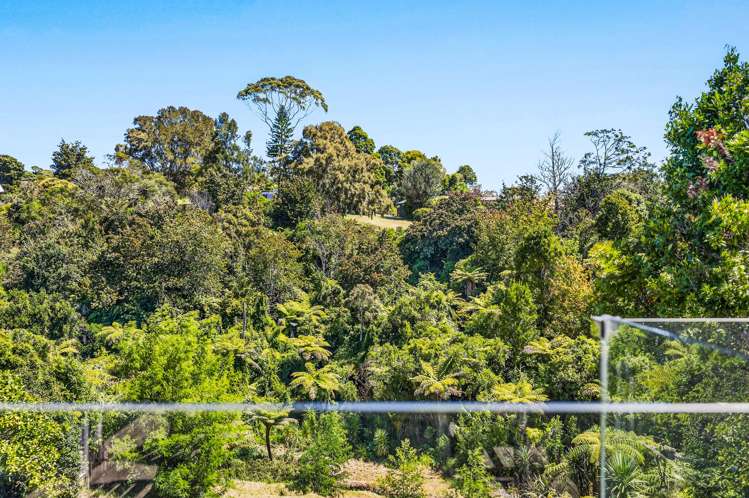 196 Verbena Road Birkdale_17