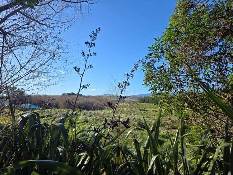 77 Whangaimoana Beach Road Lake Ferry_8