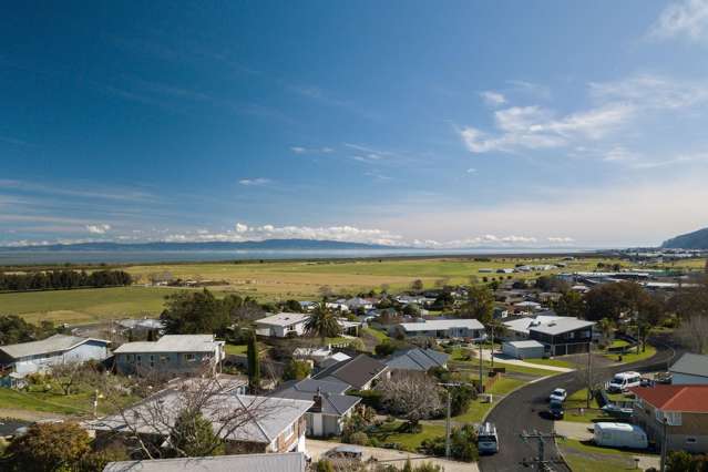 218A Tony Avenue Thames_1