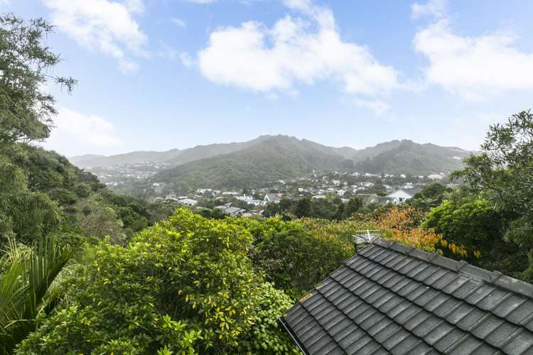 19 Torwood Road Khandallah_20