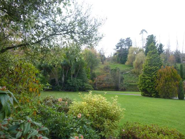 99 Pye Road Geraldine_1