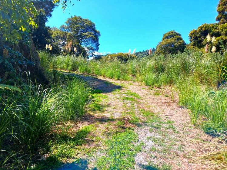 Te Karoa Road Peria_12