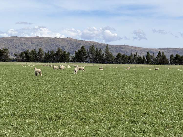 755-971 Linnburn Runs Road Paerau_18