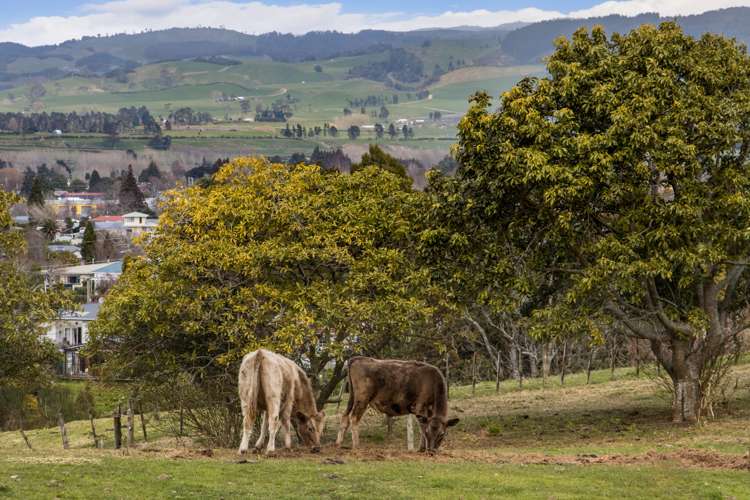 51 Symonds Street Waihi_13