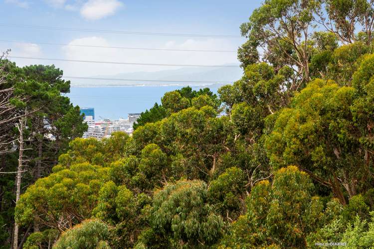 61c Mortimer Terrace Brooklyn_13