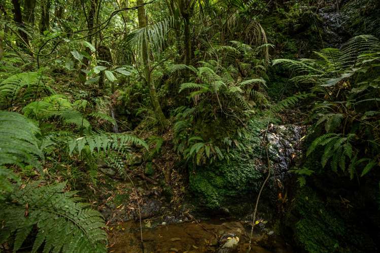 185 Kanuka Rise Wakapuaka_16