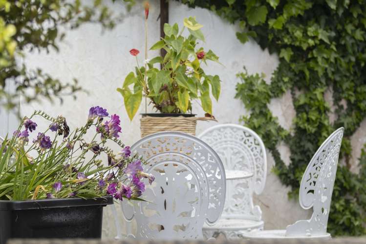 2 Shearwater Rise Rothesay Bay_25