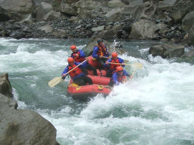 408 Mcvicar Road Te Haroto_19