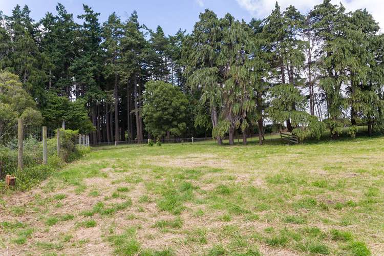 27 George Street Dannevirke_7