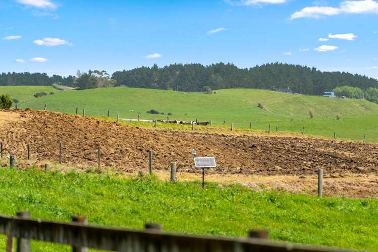 107 Fuller Road, South Head Helensville_44