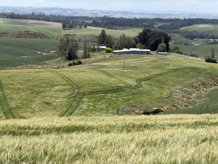 264 Dumfries Road, Taumata Clinton_15