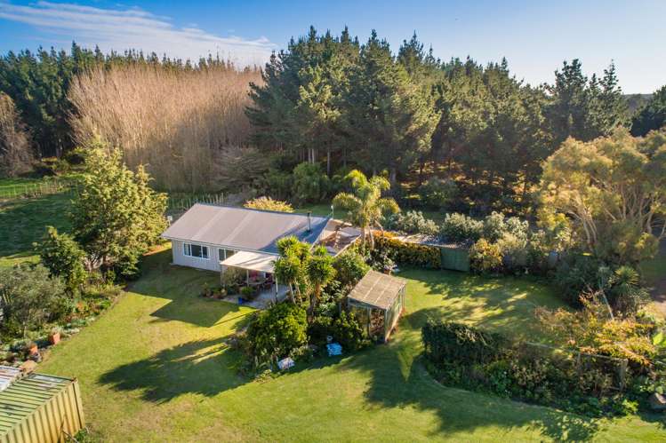 39B Palmer Road Foxton Beach_17