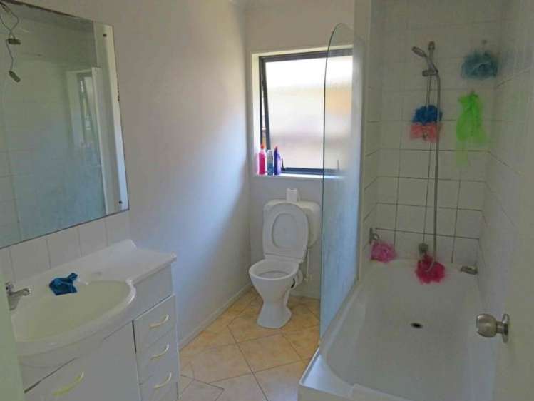 3 Finlayson Avenue Clendon Park_9