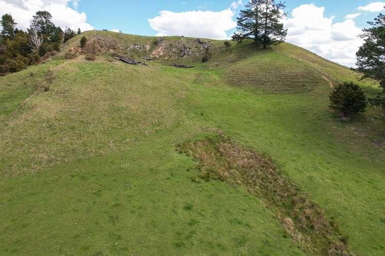117 Pigs Head Road Whakapara_16