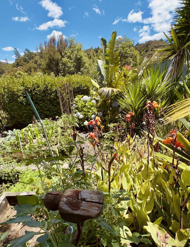 22 Ward Drive Opua_29