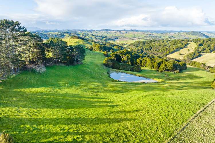 85 Lusk Road Ruawai_9