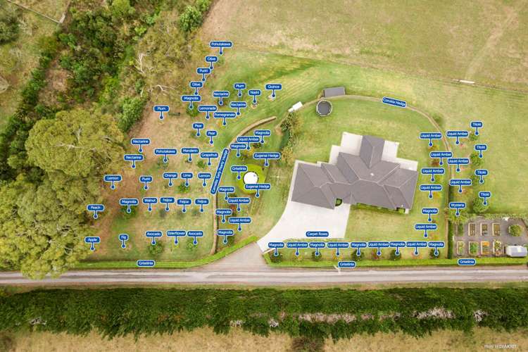 95d Ostrich Road Patumahoe_24