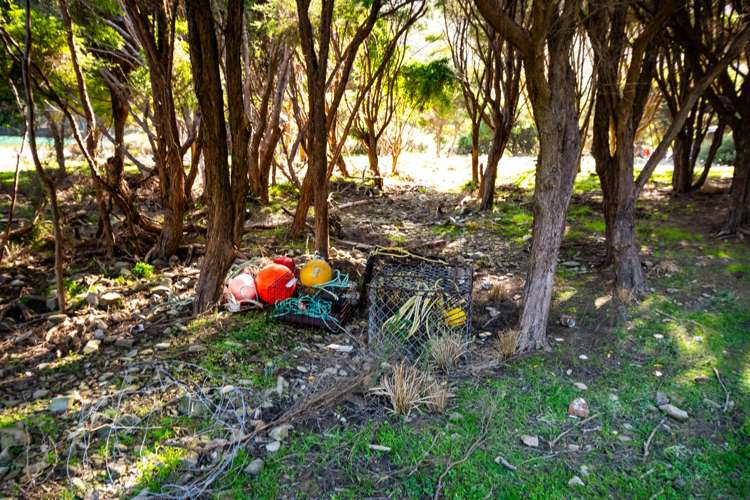 Lot 4 + 5 Te Aroha Bay, Otanerau Bay Marlborough Sounds_33