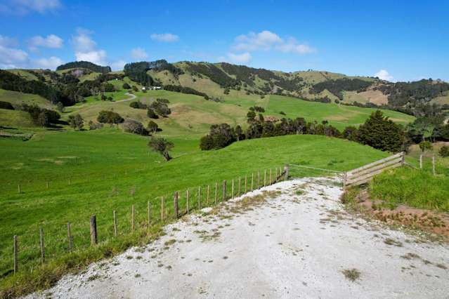 Whakahara Road Dargaville_3
