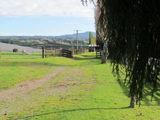402 Youngson Road Whakamarama_4