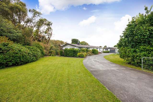 TEAM LEWIS - LOOK AT THE SPACE!