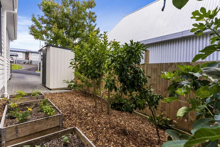 1a Japonica Drive Beach Haven_14