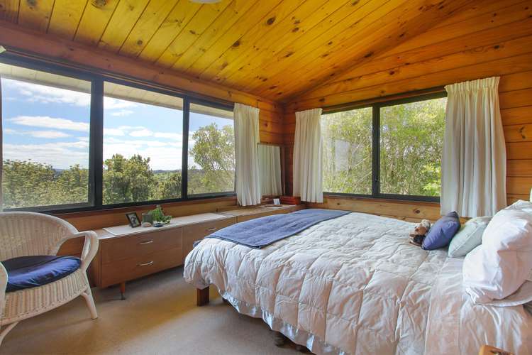 399 Horseshoe Bush Road Dairy Flat_6