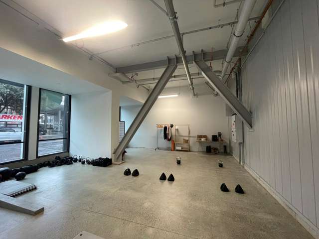 2G/155 Beaumont Street Wynyard Quarter_1