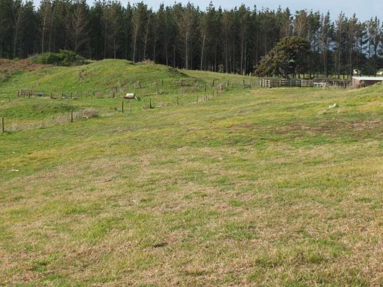 9a Andrews Street Foxton Beach_41