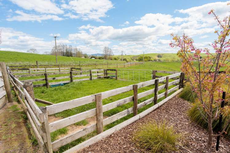 376 Morgan Road Matamata_26
