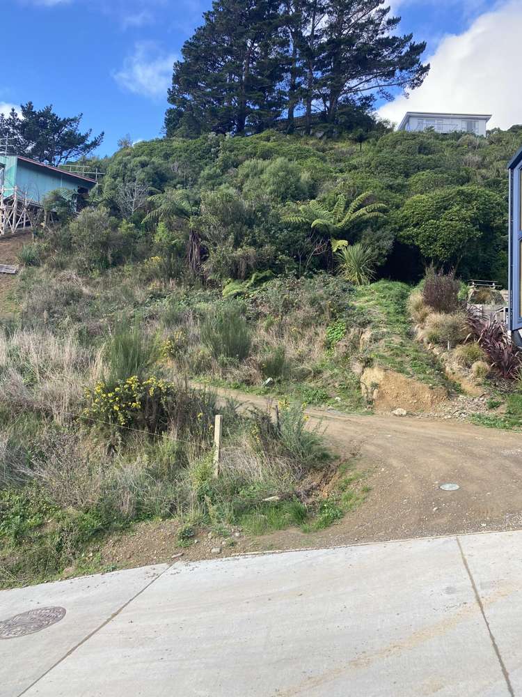 5 Livingstone Street Brooklyn_2