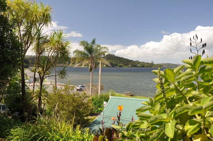 32 Komiti Road Tinopai_29