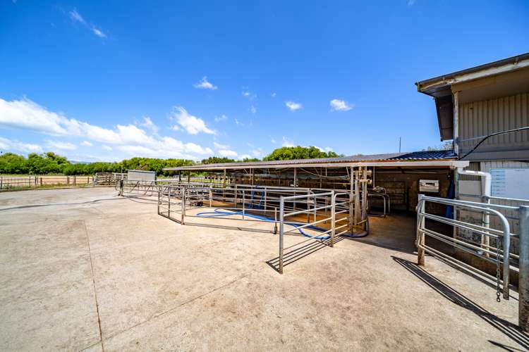 189 Gaisford Road Kumeroa_10