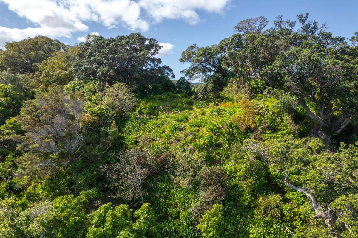 12 Pohutukawa Avenue_3